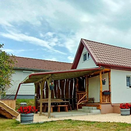 Lebego Falu Vendeghaz Oroszlany Bagian luar foto