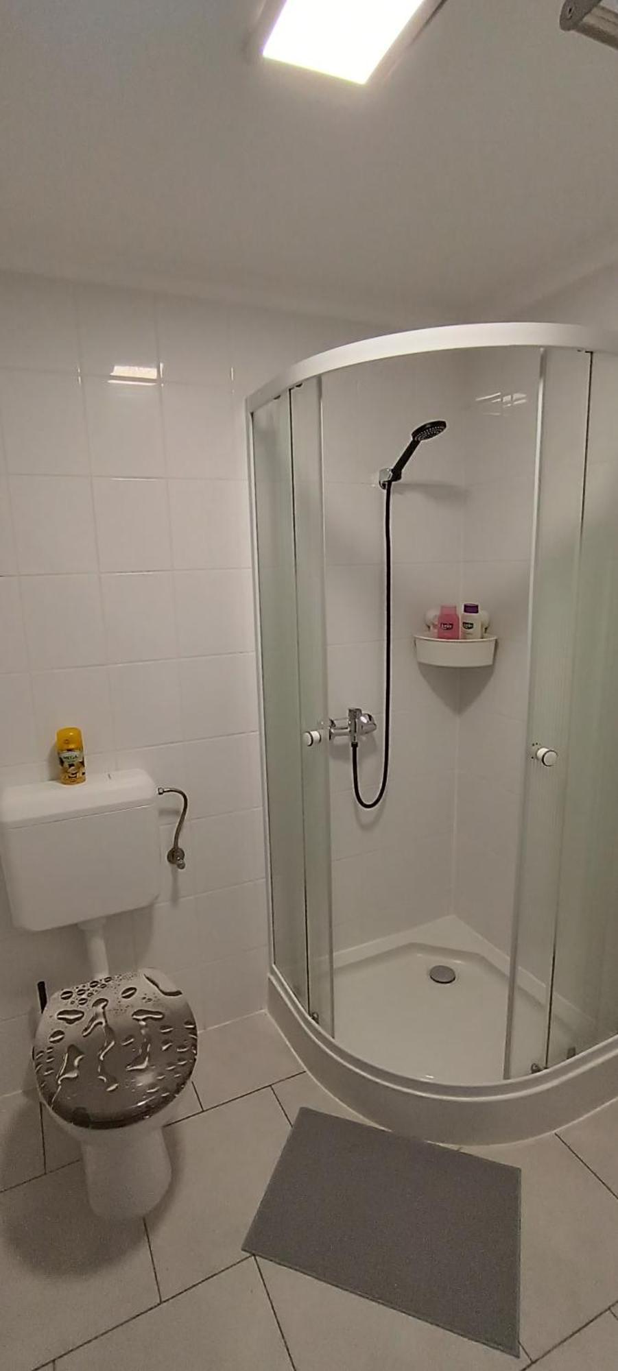 Lebego Falu Vendeghaz Oroszlany Bagian luar foto