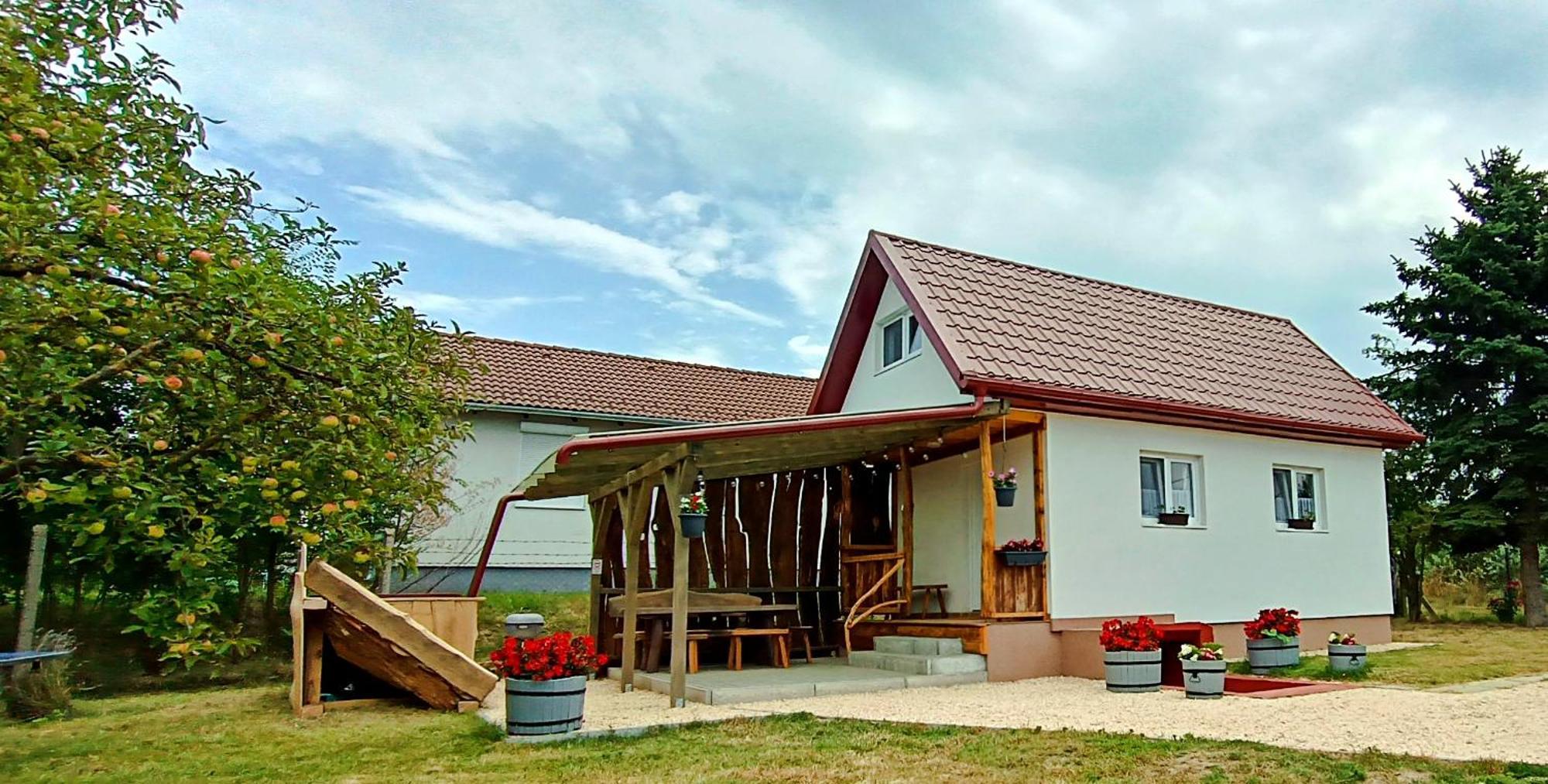 Lebego Falu Vendeghaz Oroszlany Bagian luar foto